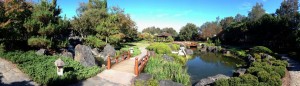 The inspiring Edogawa Commemorative Garden at Gosford Regional Art Gallery