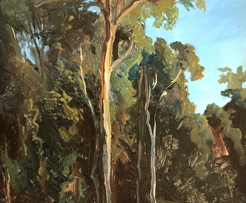 Botanical Gardens, Melbourne - Plein Air ( Lauren Sansaricq) - Available from KAB Gallery