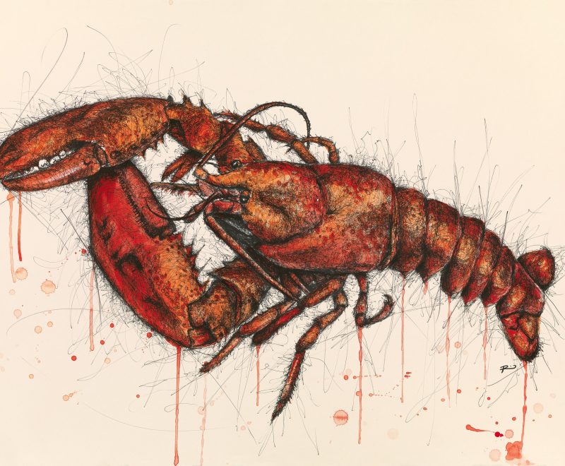 Lobster – Scratch Series ( Renee Mitchell) - Available from KAB Gallery