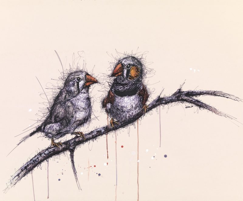 Zebra Finches – Scratch Series ( Renee Mitchell) - Available from KAB Gallery