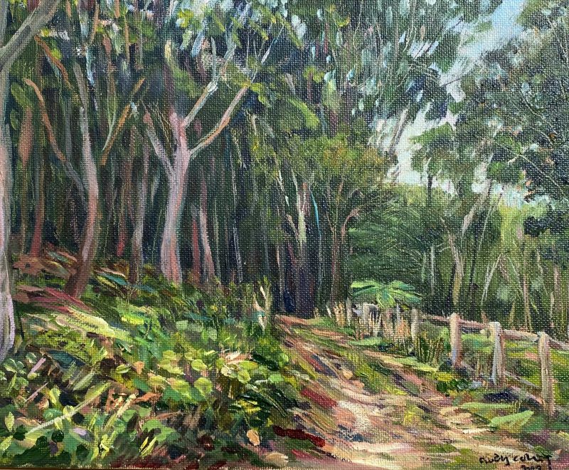 Up the Hill at Bouddi ( Andy Collis) - Available from KAB Gallery