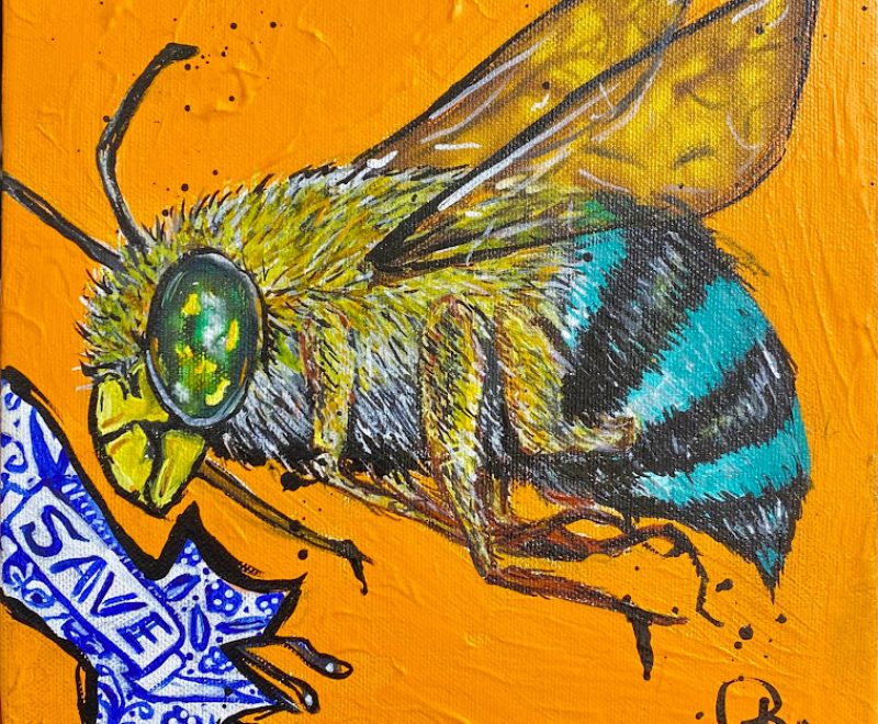 Bee - Pollination Appreciation ( Kelly-Anne Love) - Available from KAB Gallery