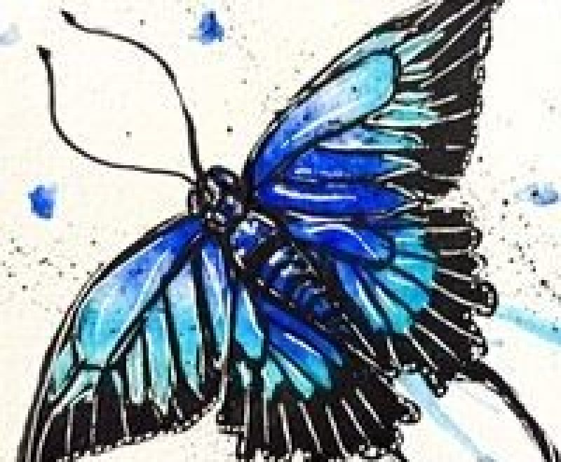 Love - Ulysses Blue Butterfly ( Kelly-Anne Love) - Available from KAB Gallery