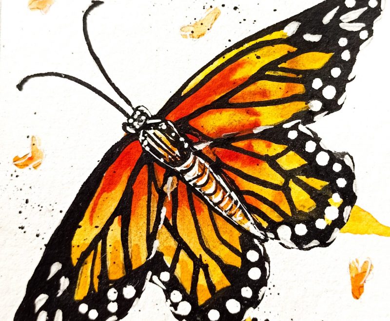 Monarch III Orange Butterfly ( Kelly-Anne Love) - Available from KAB Gallery