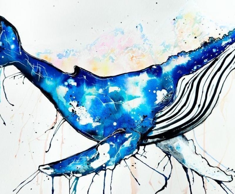Floss - Humpback Whale ( Kelly-Anne Love) - Available from KAB Gallery