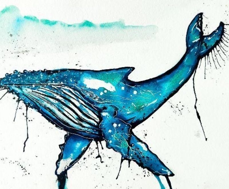 Humpback Whale ( Kelly-Anne Love) - Available from KAB Gallery