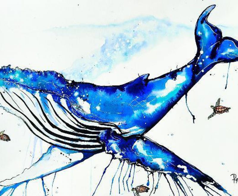 Humpback Whale with Turtle Friends ( Kelly-Anne Love) - Available from KAB Gallery