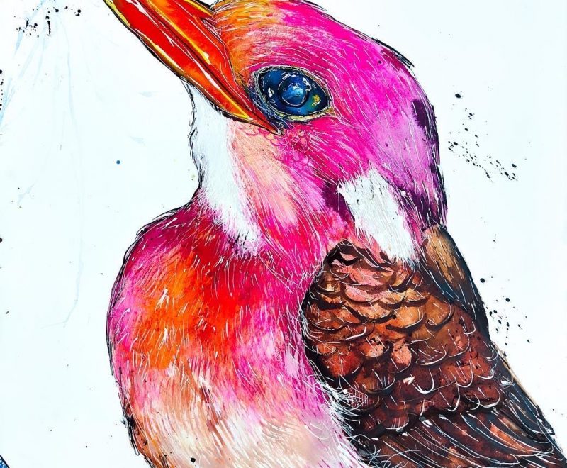 Rose - Philippine Dwarf Kingfisher ( Kelly-Anne Love) - Available from KAB Gallery