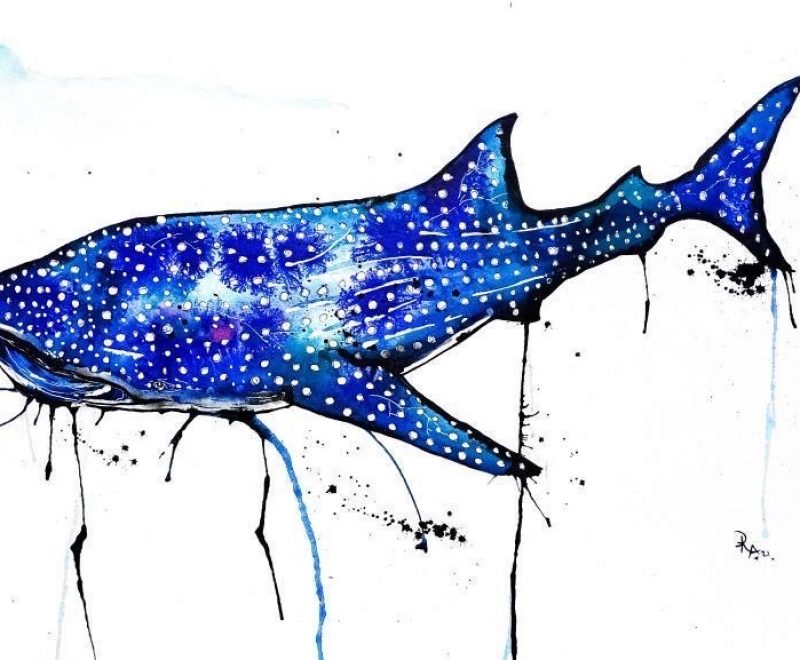 Spirit - Whale Shark ( Kelly-Anne Love) - Available from KAB Gallery