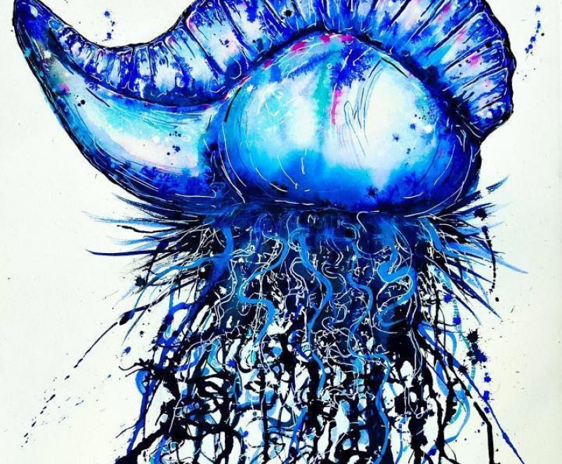 Blue Bottle ( Kelly-Anne Love) - Available from KAB Gallery