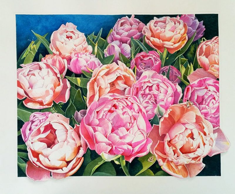 Peony Tulips ( Belinda Biggs) - Available from KAB Gallery