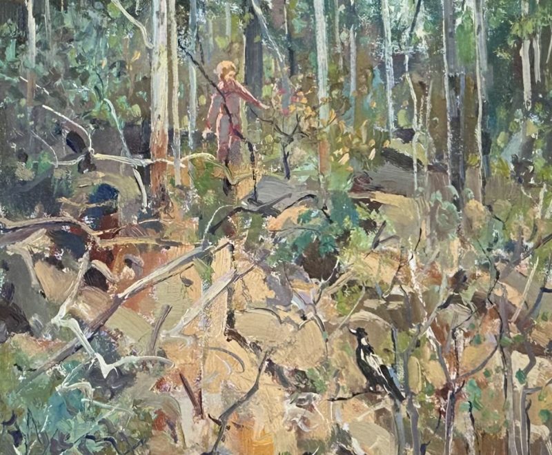 Peel Meadow (NSW) ( Patrick Carroll) - Available from KAB Gallery