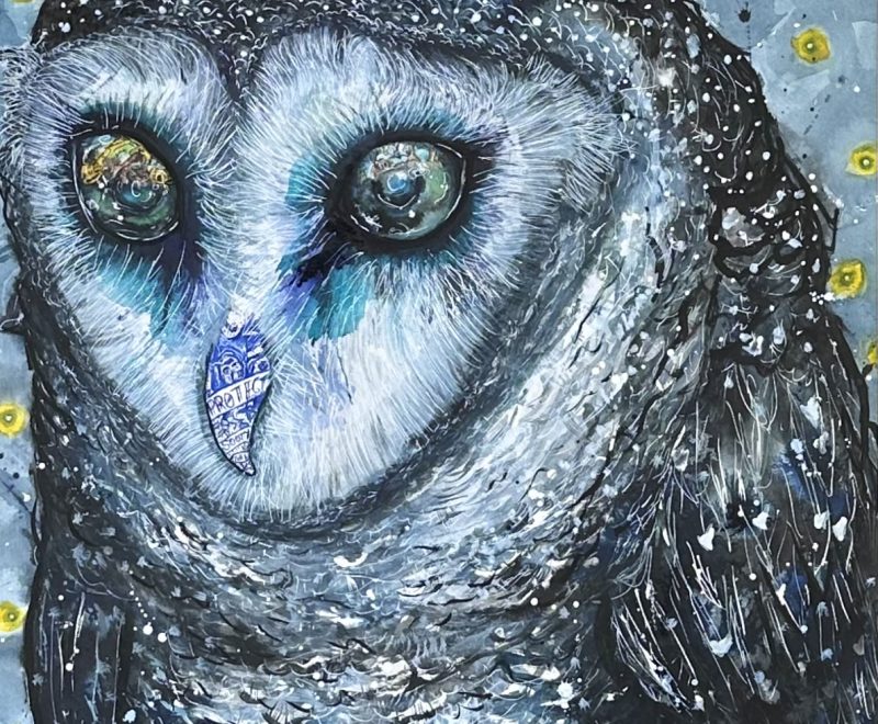 Sooty Owl ( Kelly-Anne Love) - Available from KAB Gallery