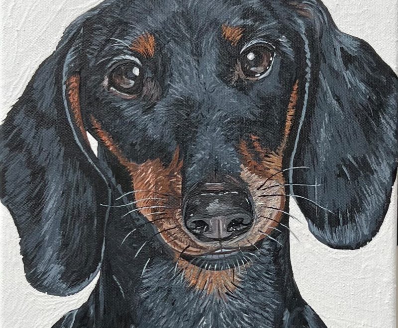 Hot Dog ( Jo Waite) - Available from KAB Gallery
