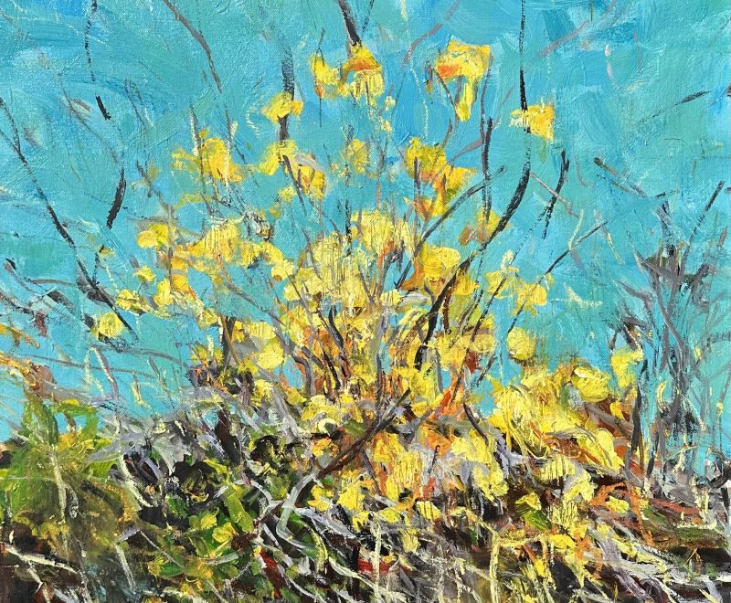 Yellow Bush by the Harbour ( Sergio Sill) - Available from KAB Gallery