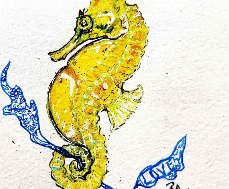 Aurora - Seahorse ( Kelly-Anne Love) - Available from KAB Gallery