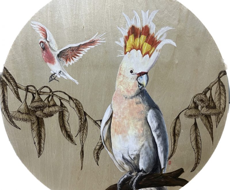 Cockatoo Land ( Mel Bling) - Available from KAB Gallery