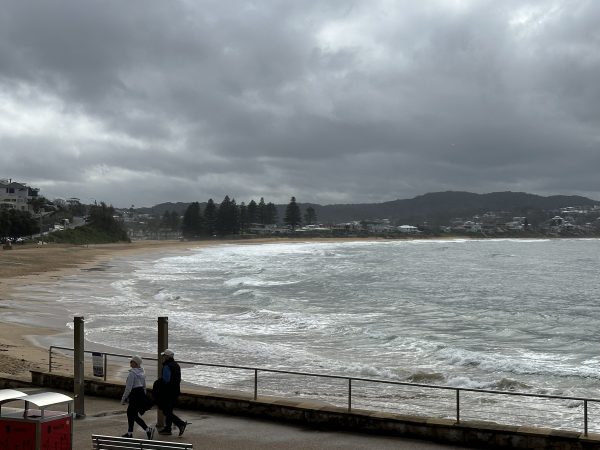 Winter Waves and Coastal Art: Sally West’s Beach Paintings at KAB ...