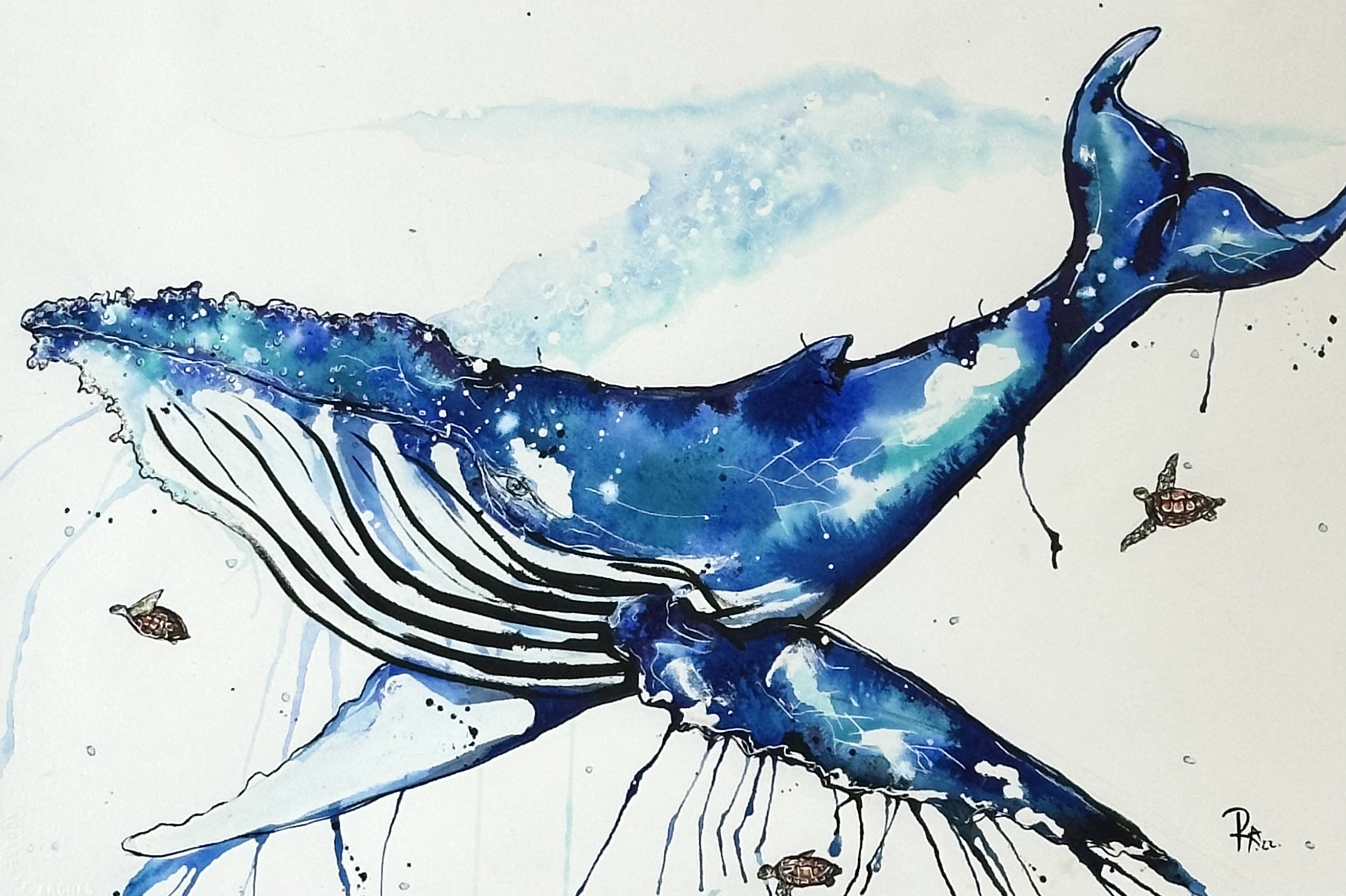 Humpback Whale with Turtle Friends – KAB Gallery