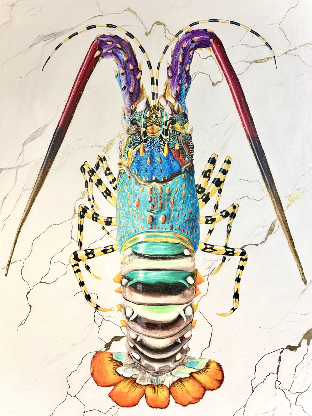 Crustacean Shell Patterning Technicolour Crustacean – KAB Gallery